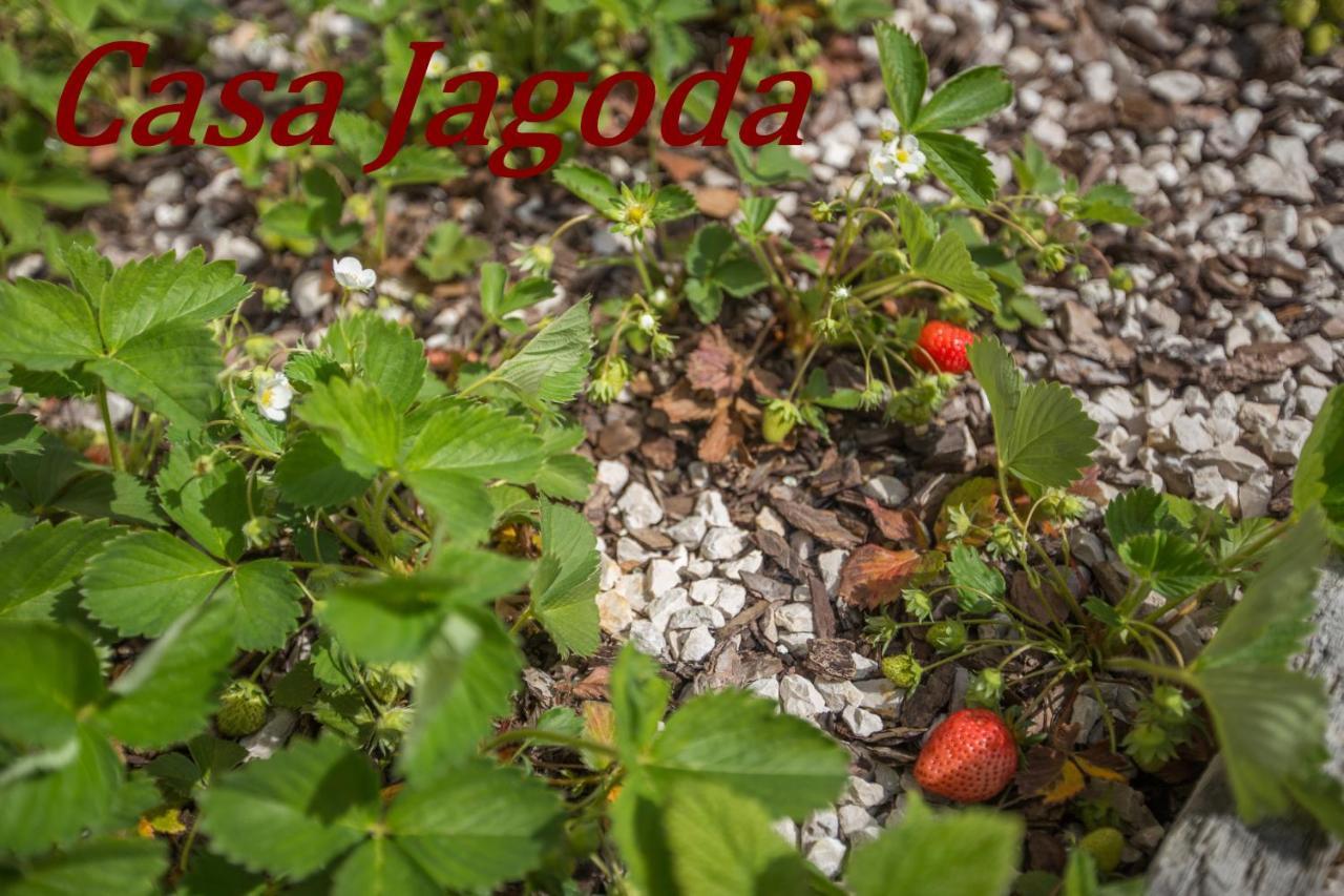Casa Jagoda Višnjan Kültér fotó